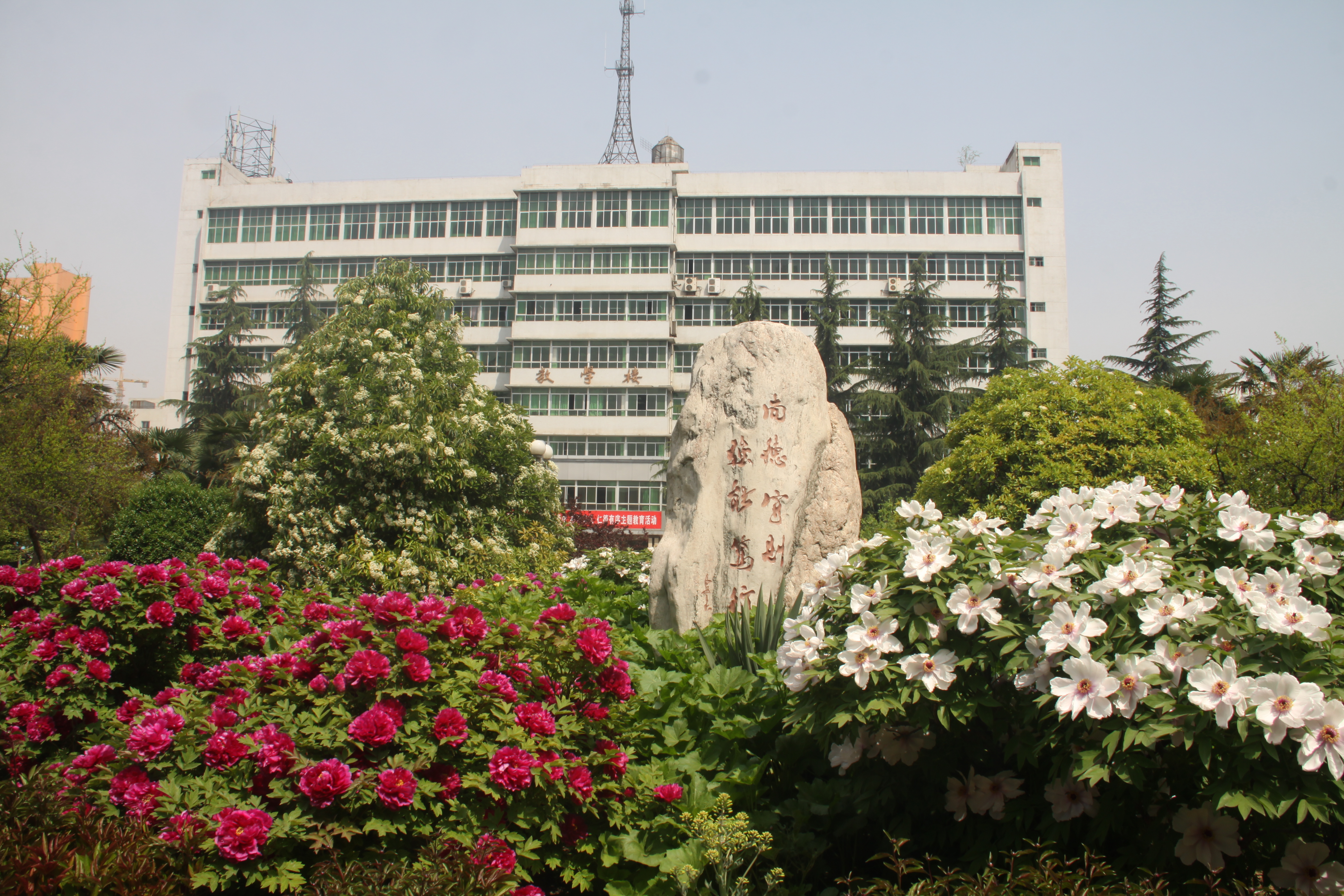 自强校区教学楼